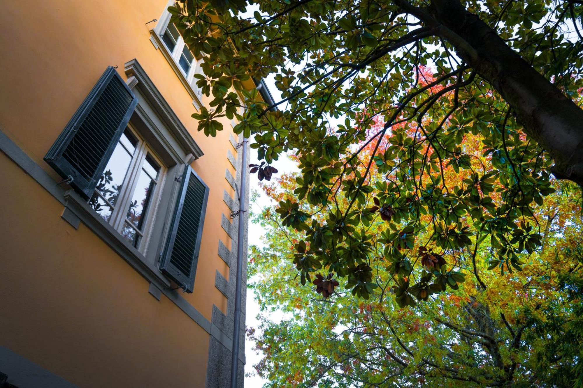 Villa Ines Charme Near Lucca Altopascio Exterior foto